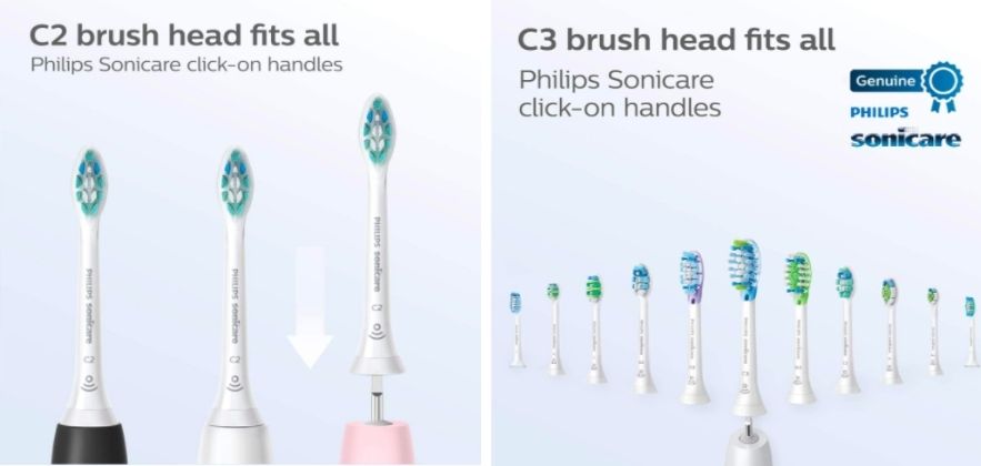 c2 brush head